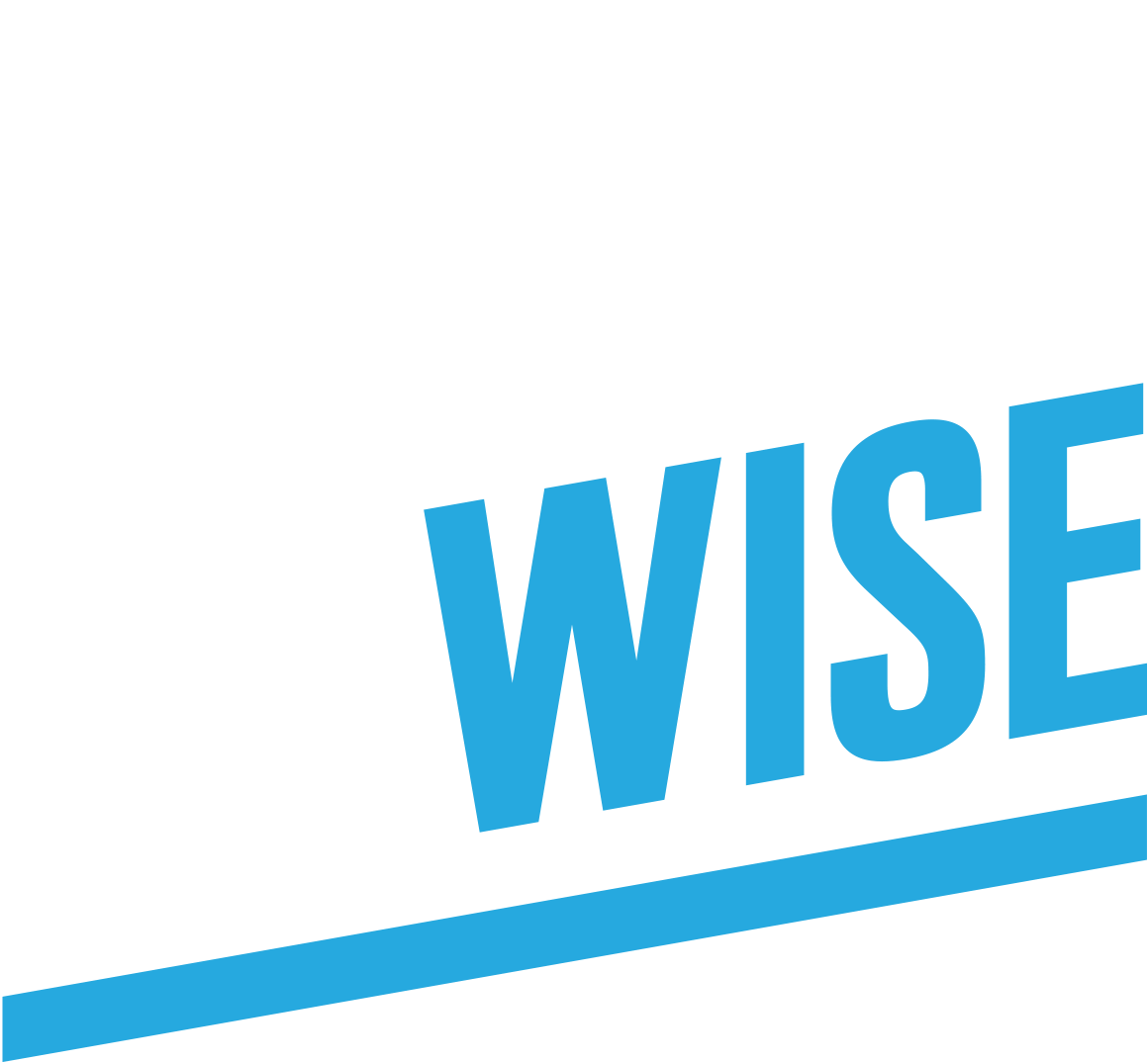 Collegewise logo